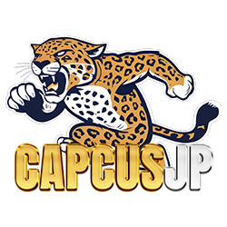 capcushot.com favicon